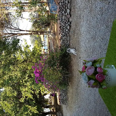 Üdülőközpont Ilayda Beach Club *